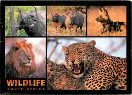 Animaux - Wildlife South Africa - Lion - Rhinocéros - Multivues - CPM - Voir Scans Recto-Verso - Andere & Zonder Classificatie