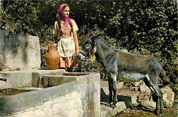 Animaux - Anes - Grèce - La Fontaine Du Village - CPM - Voir Scans Recto-Verso - Donkeys