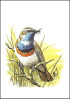 CM/MK** BLANCO - 2321 - Gorgebleue à Miroir Blanc / Blauwborst / Blaukehlchen / Bluethroat - BUZIN - RRR - 1985-.. Vogels (Buzin)