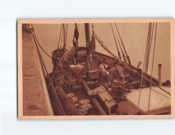 PORT EN BESSIN : Avant La Vente, Le Poisson Est Rangé Sur Le Pont Du Bateau - état - Port-en-Bessin-Huppain