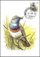 CM/MK° - 2321 - Gorgebleue à Miroir Blanc / Blauwborst / Blaukehlchen / Bluethroat - BXL-BSL - 17-4-89 - BUZIN - RRR - 1985-.. Birds (Buzin)