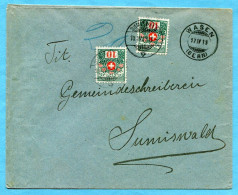 Brief Wasen 1919 Nach Sumiswald Mit Nachportomarken - Segnatasse