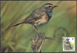 CM/MK° - 2321 - Gorgebleue à Miroir Blanc / Blauwborst / Blaukehlchen / Bluethroat - BXL-BSL - 17-4-89 - BUZIN - RRR - 1985-.. Vogels (Buzin)