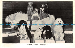 R104392 Gilberts Tail Waggers. RP - Monde