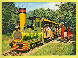 75 PARIS / BOIS DE BOULOGNE / LE PETIT TRAIN DU JARDIN D'ACCLIMATATION / ANIMÉE / 1969 - Parks, Gärten