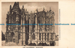 R105028 The Cathedral. Beauvais. S. Hildesheimer - Monde
