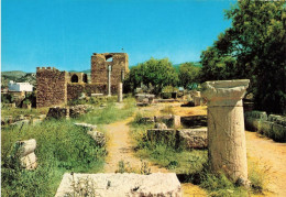 LIBAN - Byblos - Vue Générale Des Ruines Gréco Romaines - Colorisé - Carte Postale - Líbano