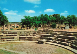 LIBAN - Byblos - Le Petit Théâtre Phénicien - Colorisé - Carte Postale - Liban