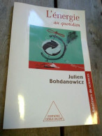 Julien Bohdanovich L'énergie Au Quotidien Odile Jacob - Autres & Non Classés