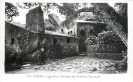 Postcard Portugal Sintra Capuchos Terreiro Dos Cedros - Otros & Sin Clasificación