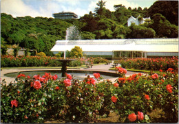 21-5-2024 (5 Z 45) New Zealand (posted To Australia 1983 With Shell Stamp) Wellington Botanical Gardens - Bloemen