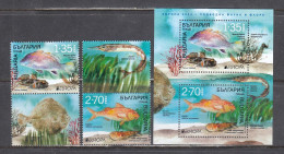 Bulgaria 2024 - EUROPA: Underwater Fauna And Flora, 2 V.+vignettes + S/sh, MNH** - 2024