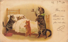 CHATS HUMANISES AU CHEVET DE DEUX CHATONS MALADES - 1900-1949