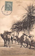 Tunisie - Caravane De Chameaux Venant Du Sud - Ed. Lehnert & Landrock 357 - Tunesien