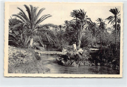 Tunisie - GABÈS - Pont De Palmier - Ed. Maison Bechraoui 74 - Túnez