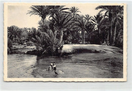 Tunisie - GABÈS - Oasis De Téboulbou - Ed. Maison Bechraoui 89 - Túnez