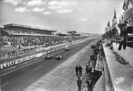 ¤¤  -  LE MANS   -  Circuit Des 24 Heures   -  Passage Des Bolides Devant Les Tribunes -  Voitures De Courses   -  ¤¤ - Le Mans