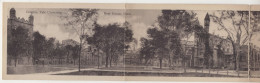 Campus, Vale University - New Haven, Conn. - (USA) - Complete Strip Of 4 Postcards - New Haven