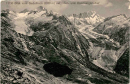 Blick Vom Siedelhorn Auf Ober- Und Unteraargletscher (12150) - Guttannen