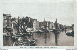 Bl479 Cartolina Chioggia Canal S.domenico Bragozzi Chioggiotti Venezia - Venezia (Venedig)