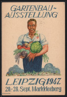 AK Markkleeberg, Gartenbau-Ausstellung 1947, Junger Mann Mit Sehr Viel Obst Und Gemüse Aus Dem Garten  - Expositions
