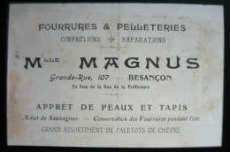 25  BESANCON Mlle MAGNUS Appret De Peaux Et Fourrures ( Taxidermie Léopard Naturalisé ) Voir 2 Scans - Besancon