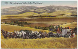 ETATS UNIS D AMERIQUE (USA) WASHINGTON HARVESTING NEAR WALLA WALLA - Autres & Non Classés