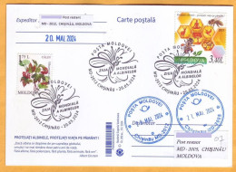 2024 Moldova  Special Postmark „World Bee Day”,Insects, Honeybees - Moldavia