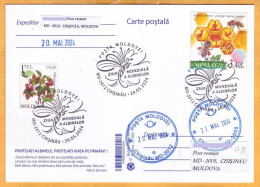 2024 Moldova  Special Postmark „World Bee Day”,Insects, Honeybees - Moldawien (Moldau)