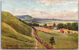 EDBURTON With South Downs And Weald - Artist  W.E. Coxford - Other & Unclassified