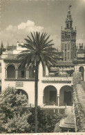 Postcard Spania Sevilla Reales Alcazares - Sevilla (Siviglia)