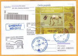2024 Moldova „From The Museums’ Patrimony” Fossils The Cave Bear (Ursus Spelaeus) (block) - Moldavie