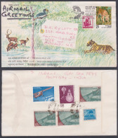 Inde India 1979 Special Cover Preserve Wild Life, Wildlife, Tiger, Deer, Tigers, Bird, Birds, Hoopoe Pictorial Postmark - Brieven En Documenten