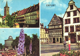 ERFURT, ARCHITECTURE, GARDEN, MULTIPLE VIEWS, TOWER, CHILD, BOY, GERMANY, POSTCARD - Erfurt