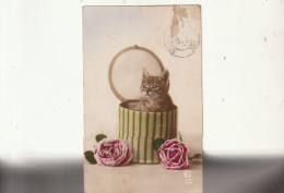 ***  CHATS *** CHATTS CHATONS  --   --  Chaton Boite à Chapeau Et Roses - Katten