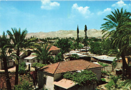 PALESTINE - Jericho - Ville Aux Palmiers - Colorisé - Carte Postale - Palestina