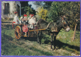 Carte Postale 64. Saint-Palais  Le Groupe Folklorique Jarraiki  Attelage D'âne   Très Beau Plan - Autres & Non Classés