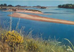 Vallée De La Loire Saint Benoit Sur Loire - Autres & Non Classés