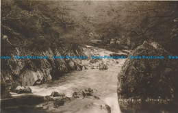 R103294 Fairy Glen. Bettws Y Coed. RP. 1928 - Monde