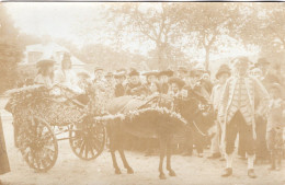 Carte Photo D'un Homme élégant Avec Des Enfants Dans Une Carriole Tirée Par Un Ane Devant Des Spectateur Vers 1905 - Anonyme Personen