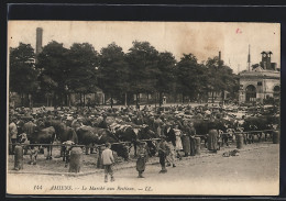 CPA Amiens, Le Marché Aux Bestiaux  - Amiens