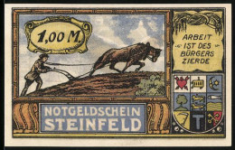 Notgeld Steinfeld 1920, 1 Mark, Bauer Mit Pflug Und Adler Mit Fahne  - [11] Local Banknote Issues