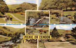 R103354 Picnic On Exmoor. Blackmore Photograph. 1963. Multi View - Monde