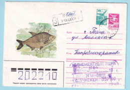 USSR 1985.0524. Bream (Abramis Brama). Prestamped Cover, Used - 1980-91