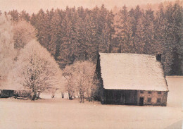 Postcard Switzerland Winter Chalet Landscape - Sonstige & Ohne Zuordnung