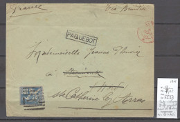 France - Lettre De Bombay - Inde -1901 - Griffe Paquebot Et Cachet Indien Sur Mouchon - Correo Marítimo