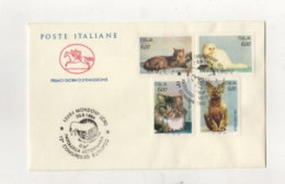 ITALIA GATTI 1994 Congresso Europeo Patologia Veteriaria Mondovì - Hauskatzen