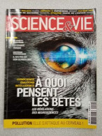 Revue Science & Vie N° 1192 - Non Classés