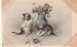 ***  CHATS *** CHATS CHATONS  Par Illustrateur Chat Et Roses 1906 S G 303 Timbrée TB (jaunissement Angles) - Gatos