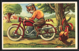 Künstler-AK Katze Auf Motorrad Flitzt An Einem Hahn Vorbei  - Cats